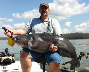 61 lb PB croped.JPG