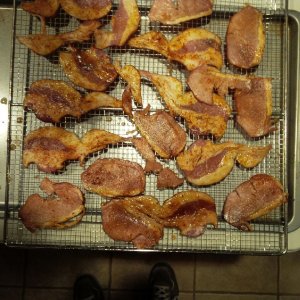 bacon1.jpg