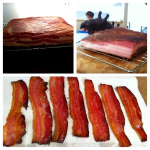 Bacon.JPG