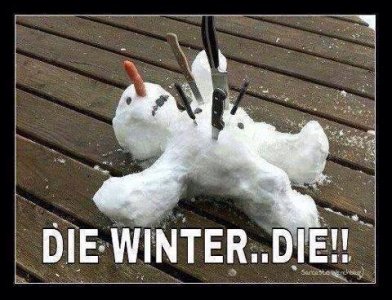 Winter voodoo doll.jpg