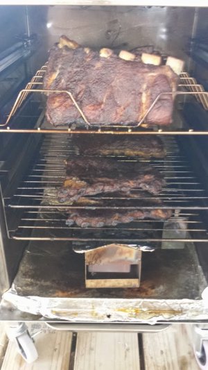 Rib(done).jpg