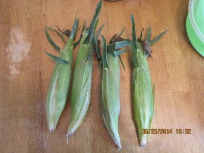 Fresh corn.JPG