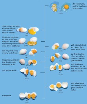 Egg Temp Guide.jpg