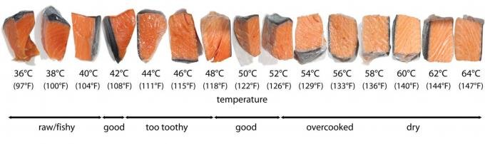 Salmon Temp Guide.jpg