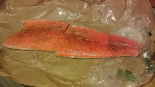 Salmon01-2015-0621.jpg