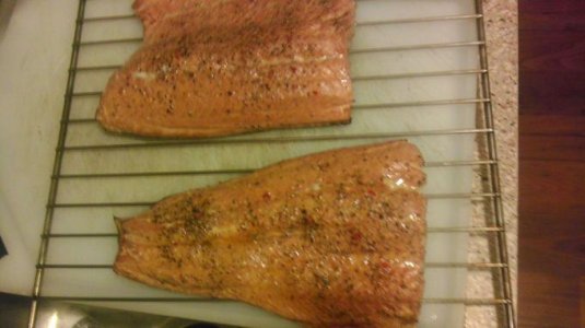 Salmon04-2015-0621.jpg