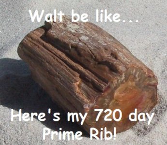 petrified prime rib.JPG