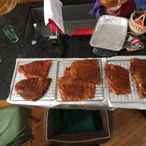 2d Ribs--Off to my #2.jpg