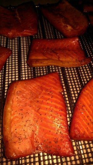 smoke salmon bellies 2.jpg