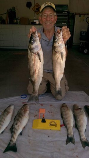 stripers 5-9.jpg