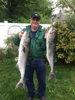 TomBluefish15lb (768 x 1024).jpg